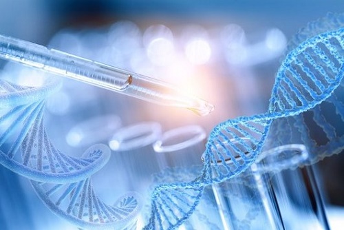 campo de trabajo de un biotecn�logo