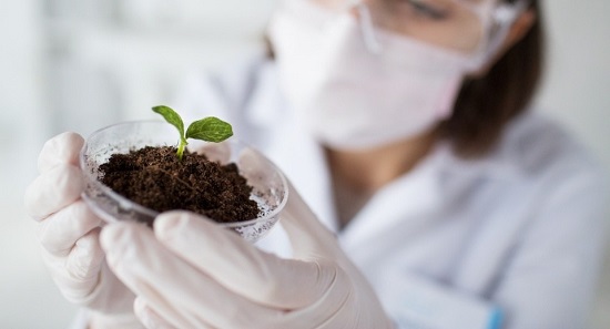 d�nde estudiar biotecnolog�a