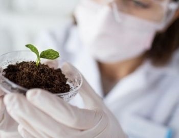 universidades d�nde estudiar biotecnolog�a