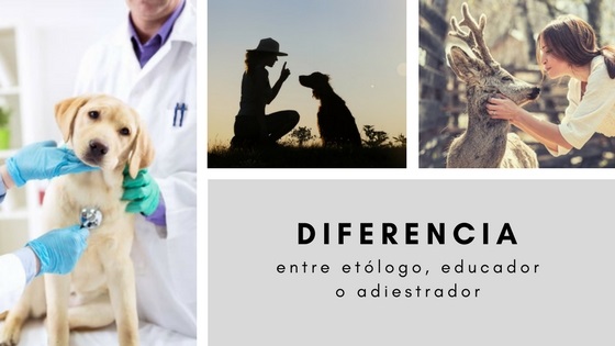 diferencia entre un et�logo y un adiestrador