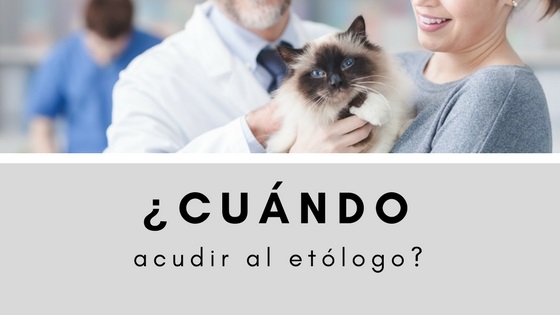 cu�ndo es necesario un et�logo