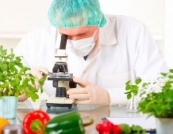 ingenier�a en alimentos
