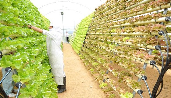 �rea laboral en el sector privado