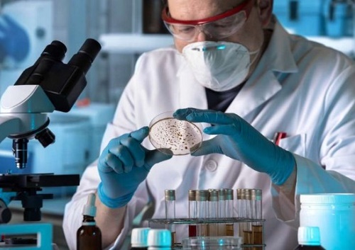 profesional en microbiolog�a