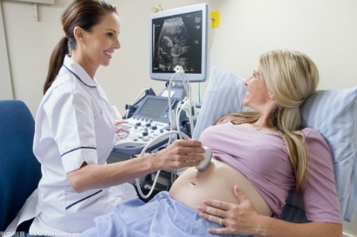 �qu� se estudia en esta carrera?